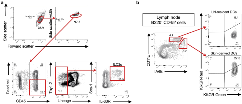 Figure 7