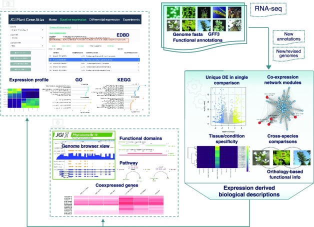 Graphical Abstract