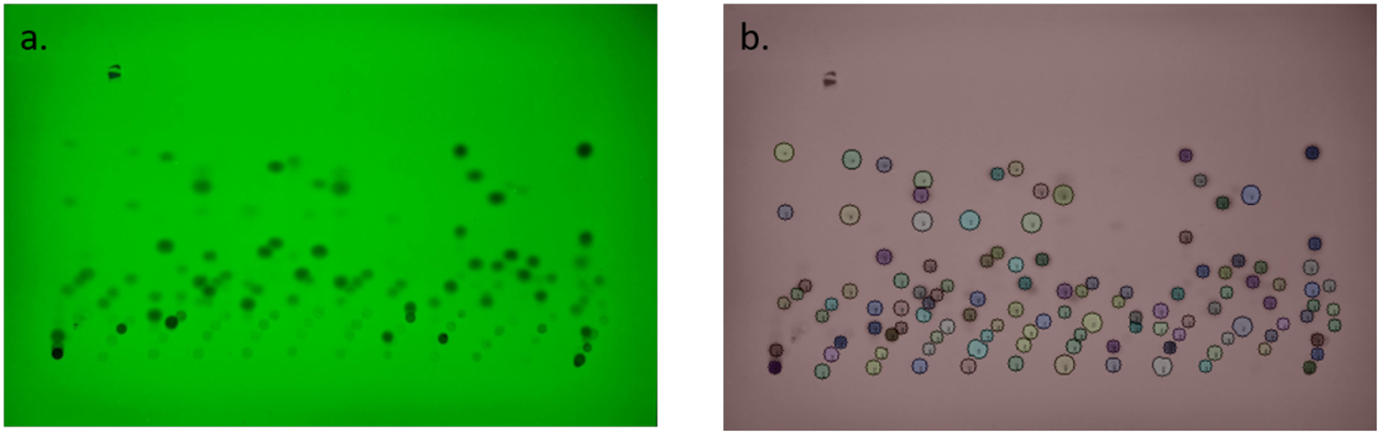 Figure 5.