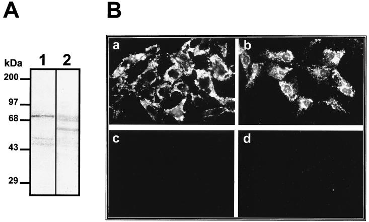 FIG. 8