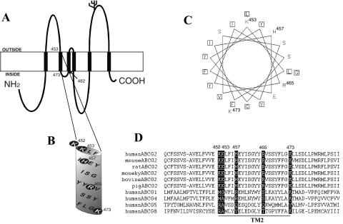 Fig. 1.