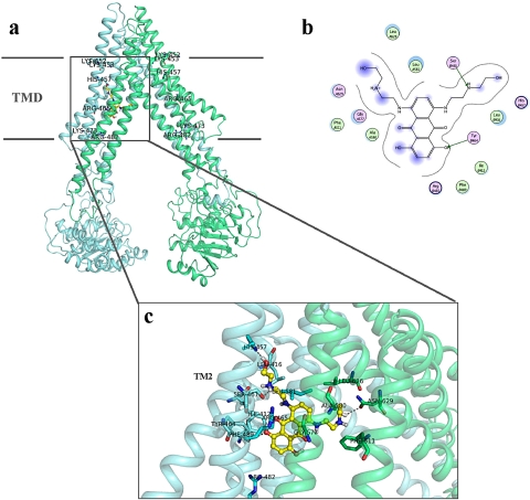 Fig. 8.