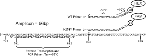 FIG. 1.