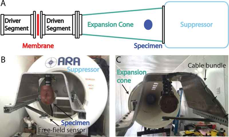 Fig. 3: