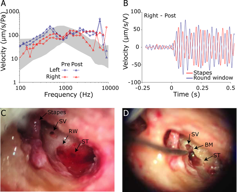 Fig. 2: