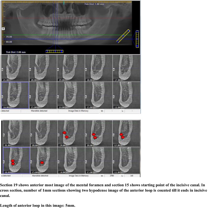 Fig. 5