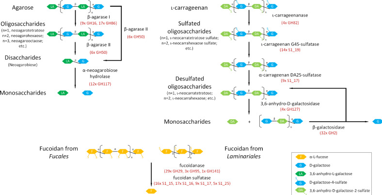 Fig 5