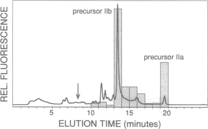 graphic file with name pnas01132-0432-a.jpg