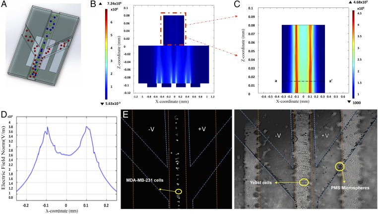 Fig. 4.