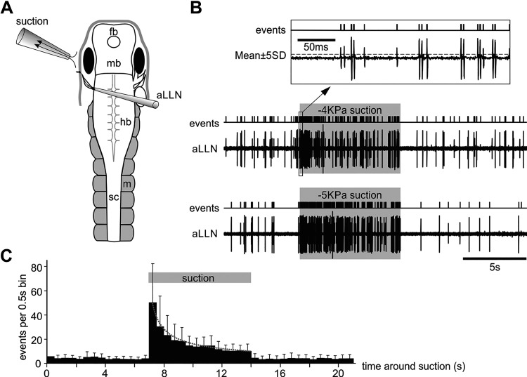 Figure 6.