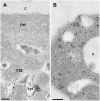 Figure 9.