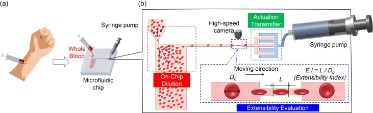 FIG. 8.