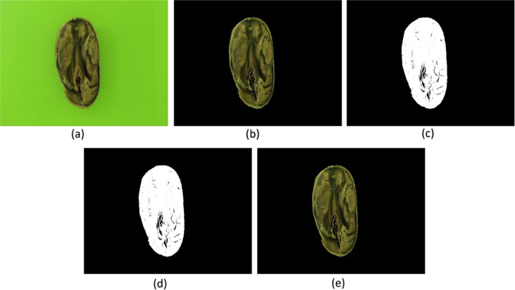 Fig. 3