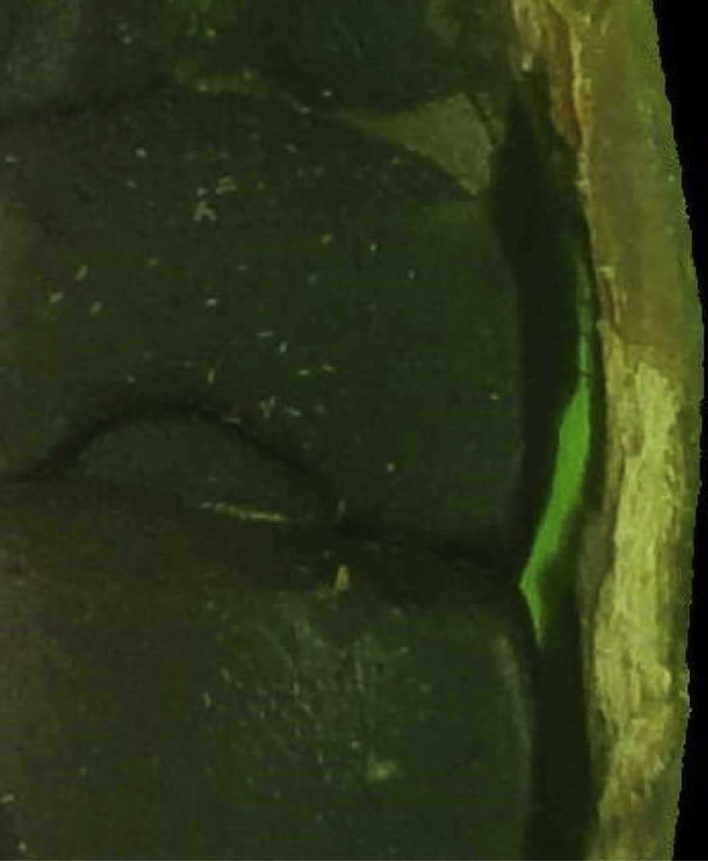 Fig. 7