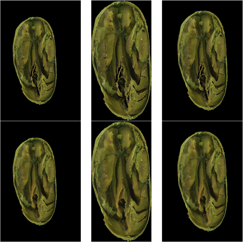 Fig. 2