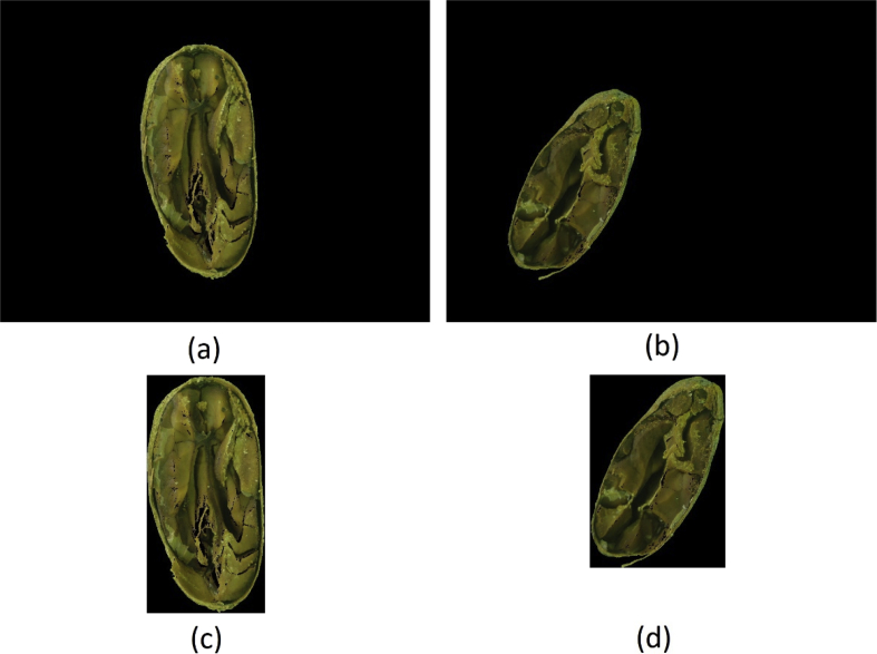 Fig. 4