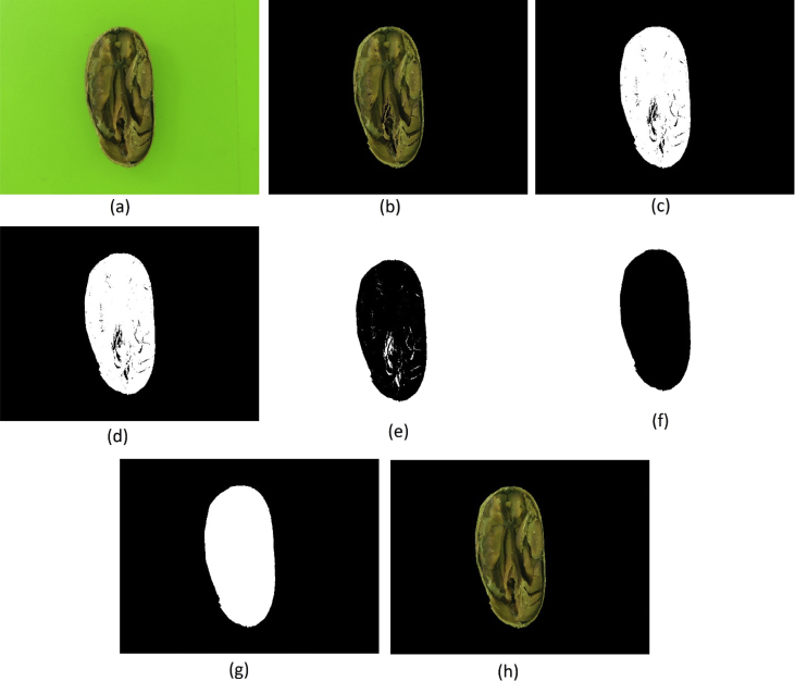 Fig. 6