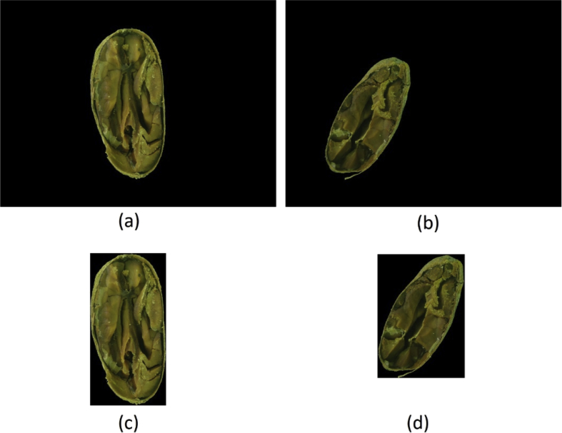 Fig. 8