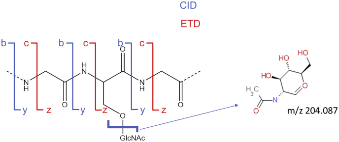 Fig. 1