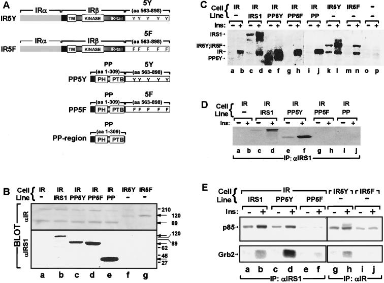 FIG. 1