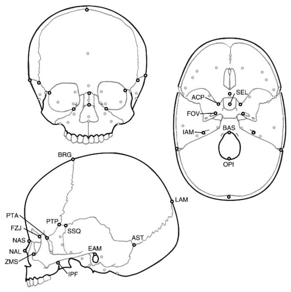 FIGURE 1