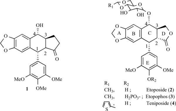 Fig. (1)