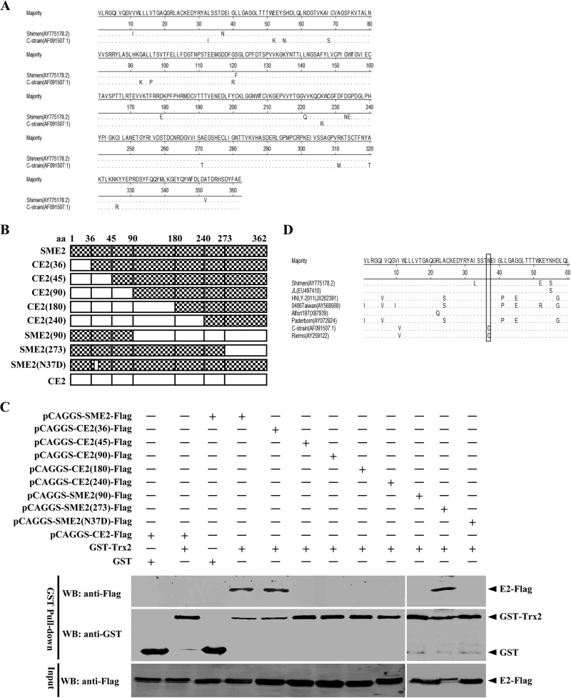 FIG 3