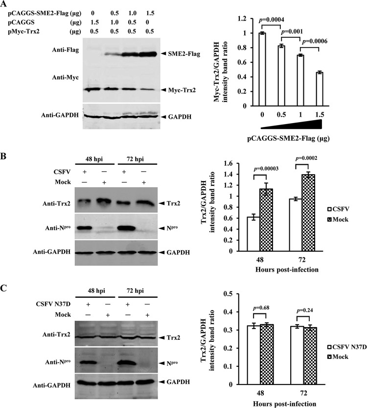 FIG 6