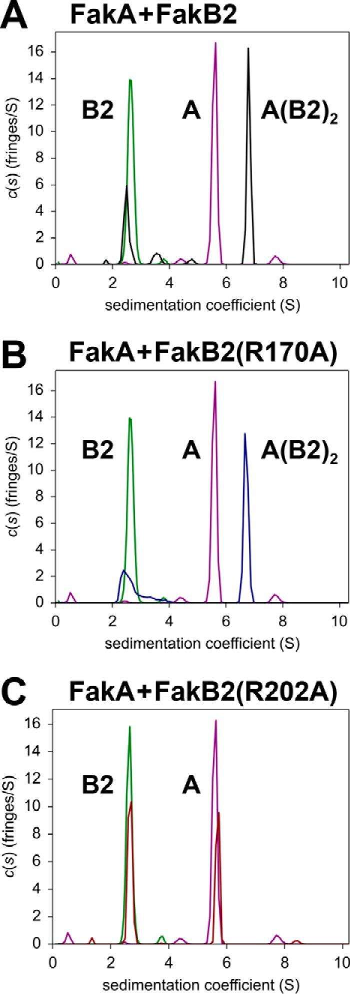 FIGURE 5.