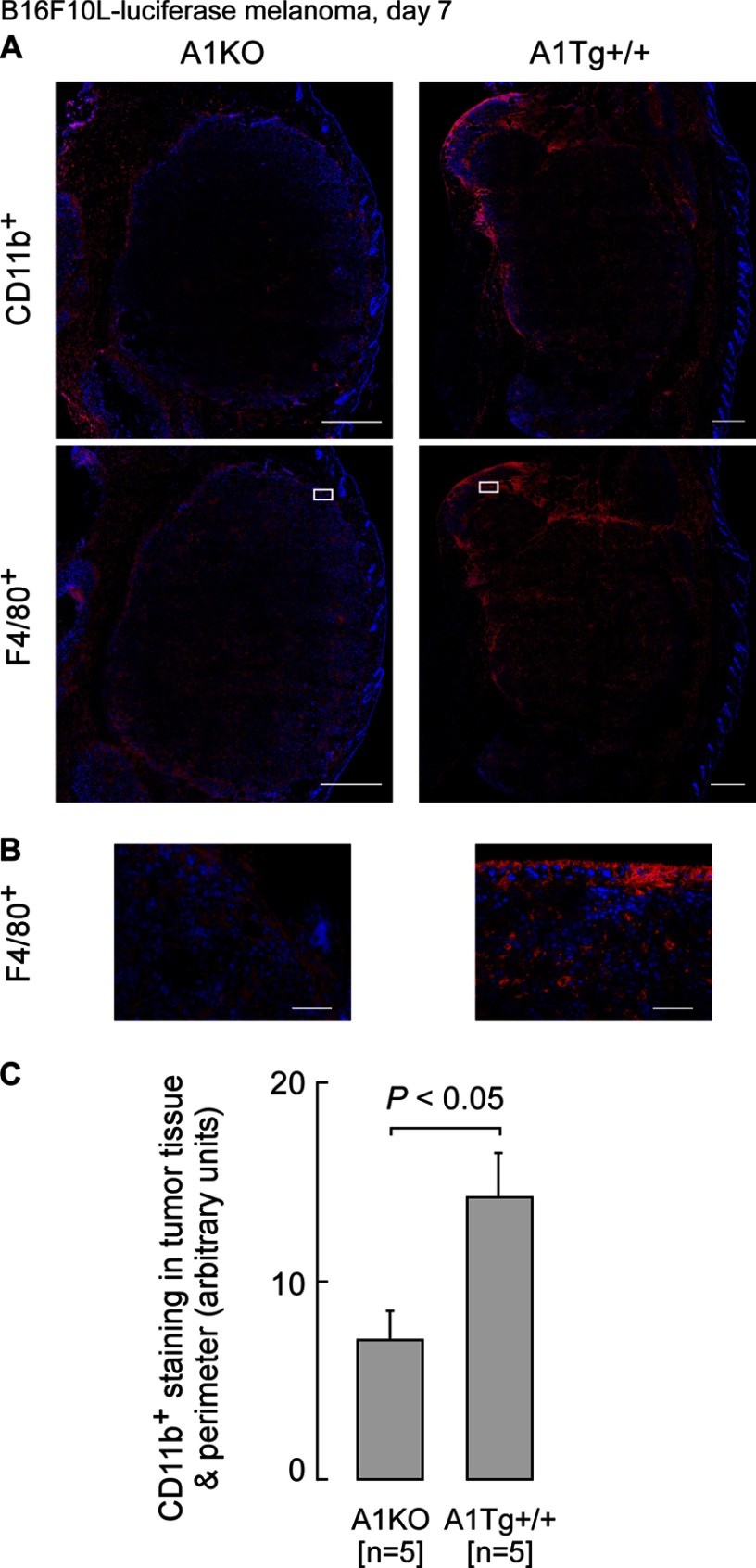 FIGURE 10.