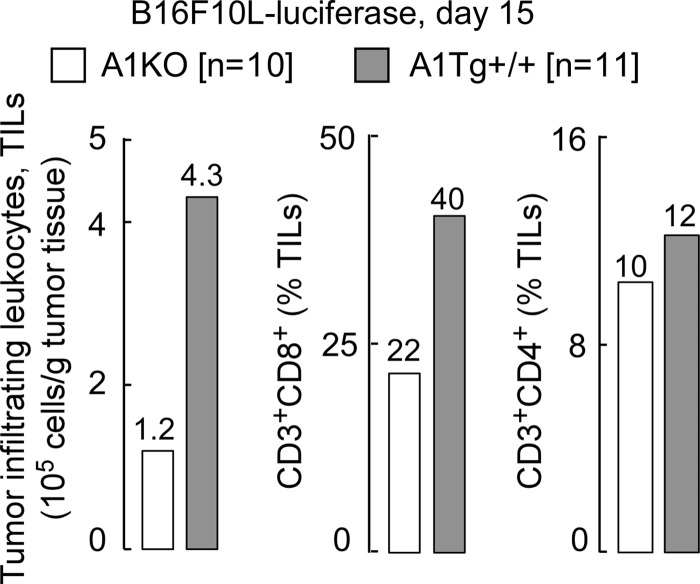 FIGURE 12.