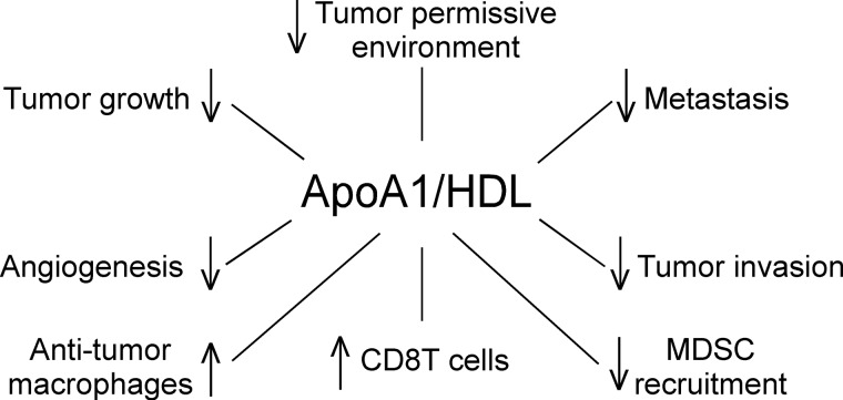 FIGURE 13.