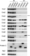 FIGURE 3.