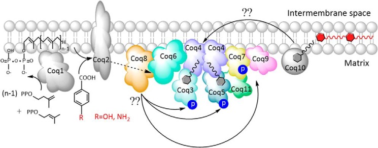 FIGURE 13.