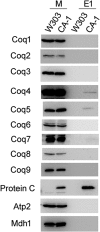 FIGURE 9.