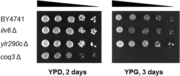 FIGURE 6.