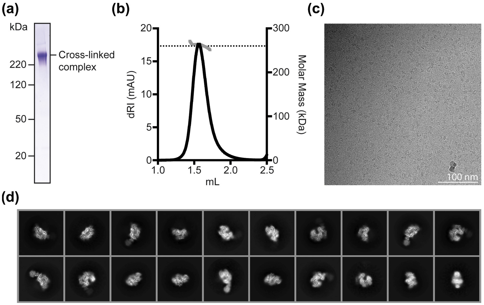 Fig 1.