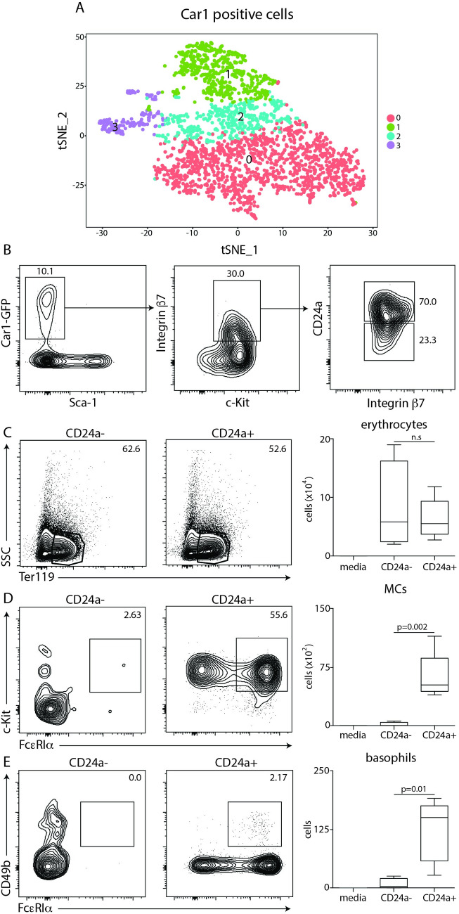 Fig 5