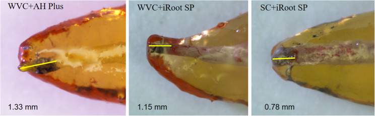 Fig. 4
