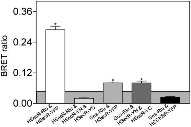 Fig 5