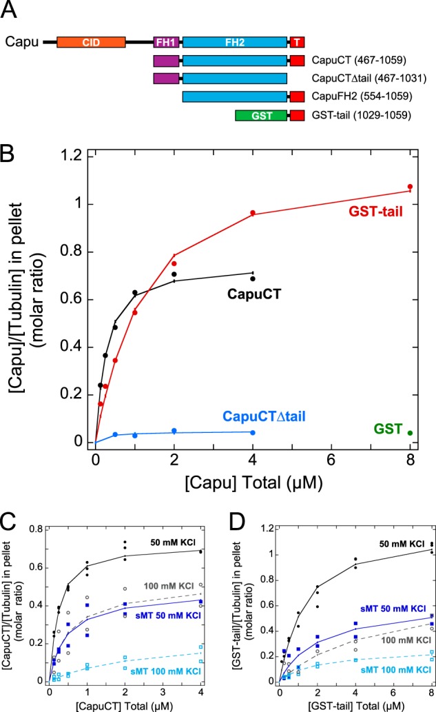 FIGURE 1.