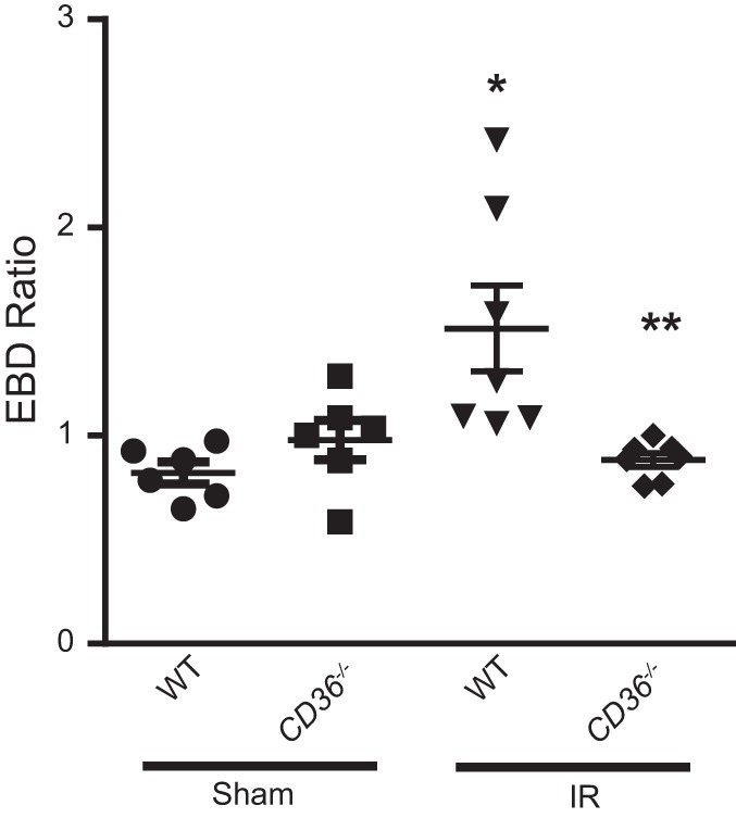 Fig. 8.