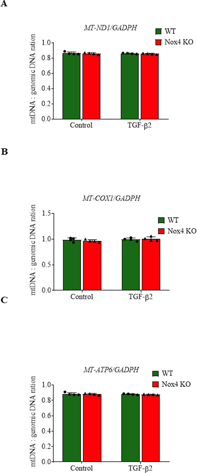 Supplementary Fig. 6