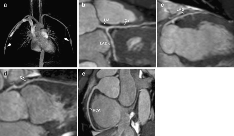 Fig. 5