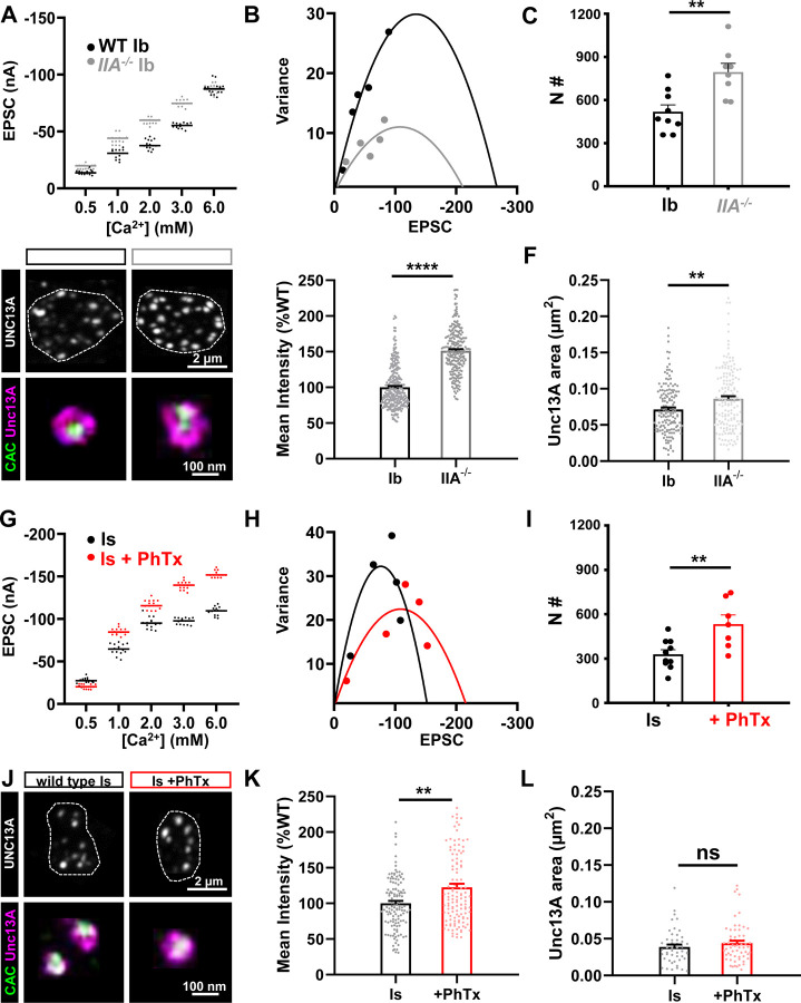 Figure 7: