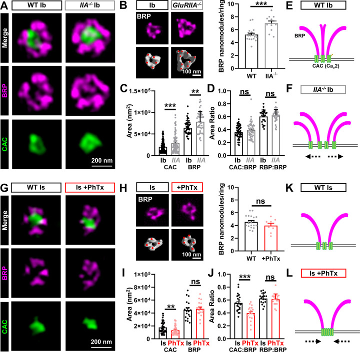 Figure 4: