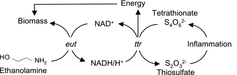 Fig. 5.