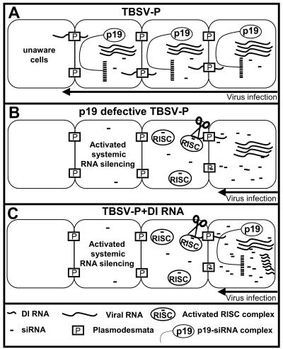 FIG. 5.