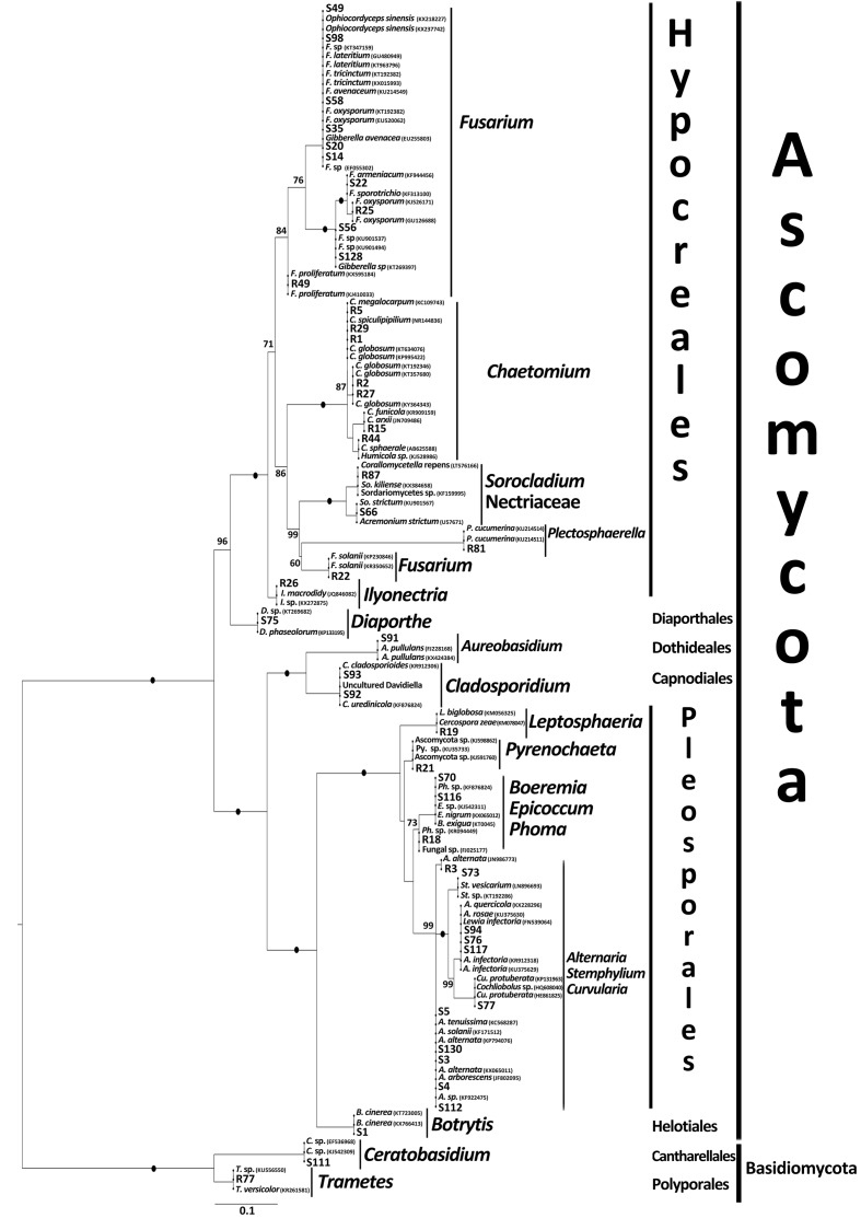 FIGURE 1