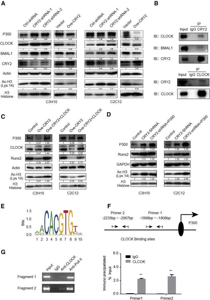 Figure 5